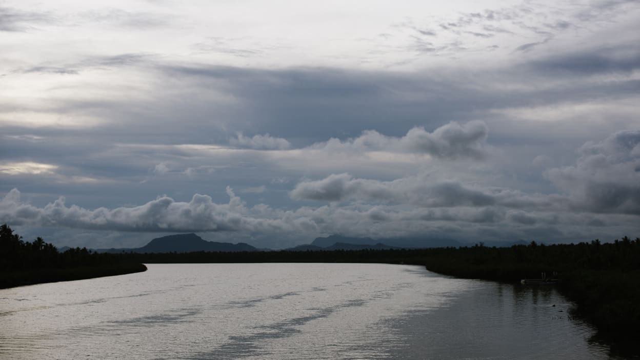A serene river flows through a landscape under a cloudy sky, with distant mountains visible on the horizon and lush greenery lining the banks.