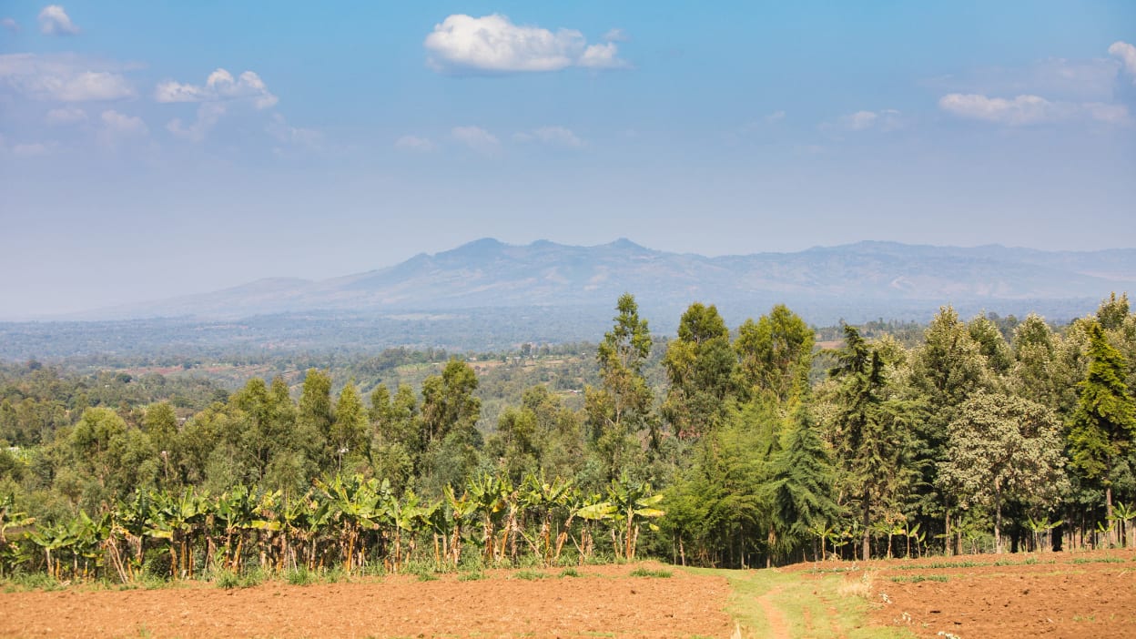 Landscape view of farmland with mountains in the distance under a blue sky.