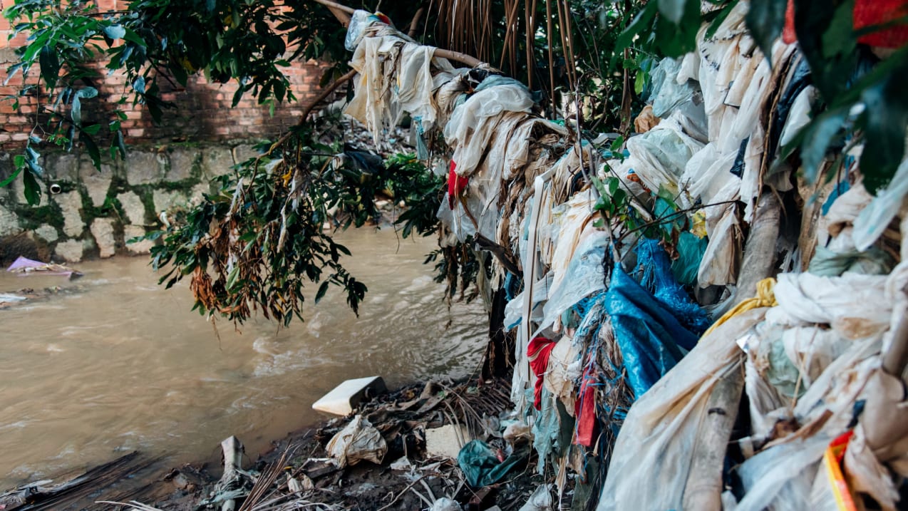 A river with rubbish hanging from branches of tree hanging over the river.