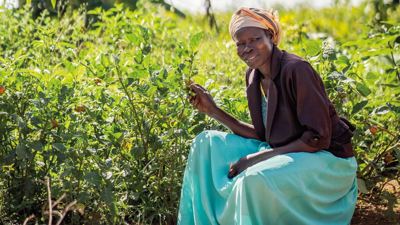 A woman crouches in front of a green crop growing in a field, holding one of the branches as she looks at the camera.