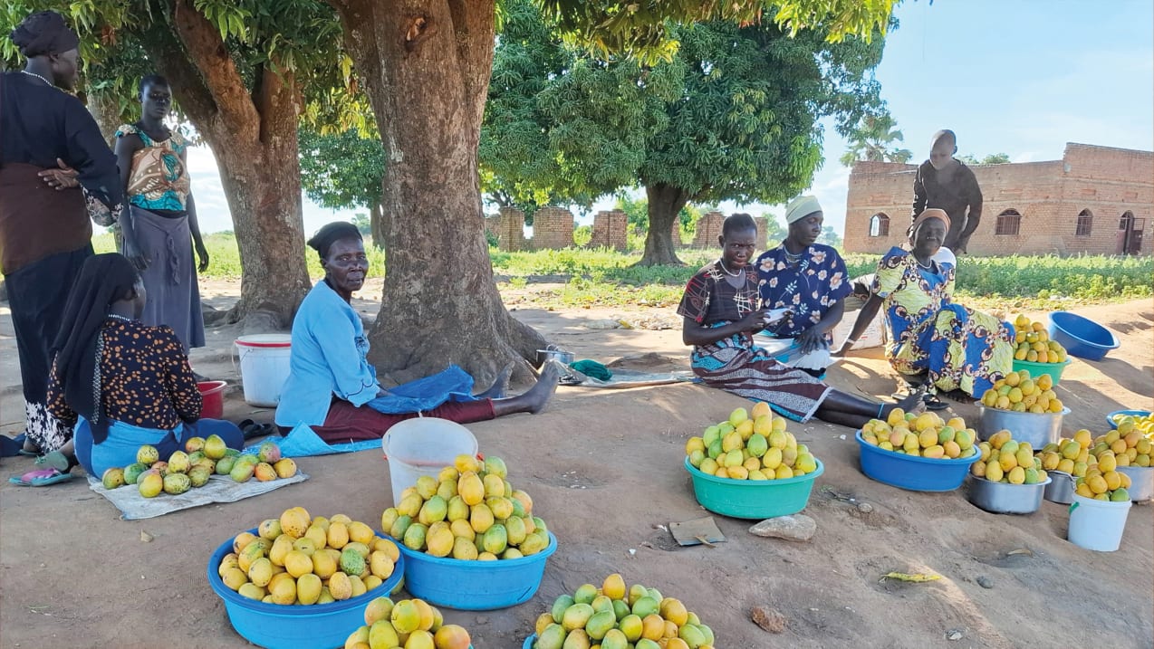 Outdoor market scene with people selling mangoes under the shade of trees.