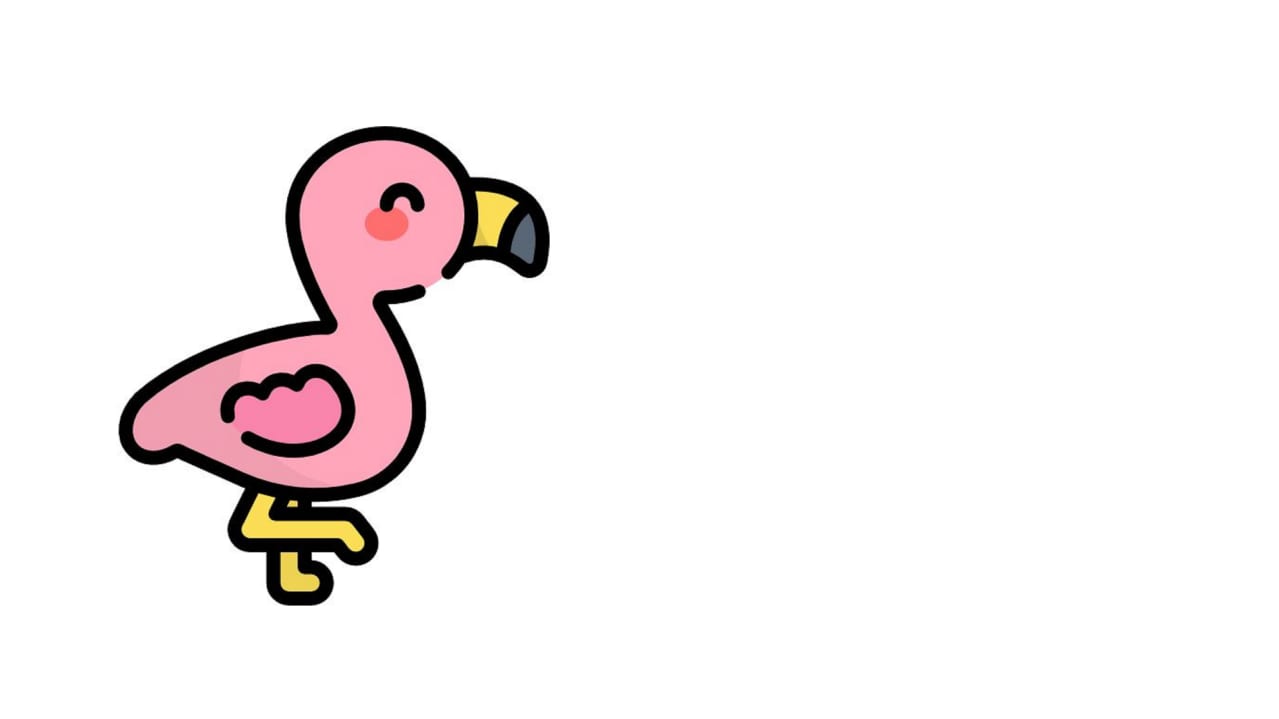A baby flamingo standing on one leg