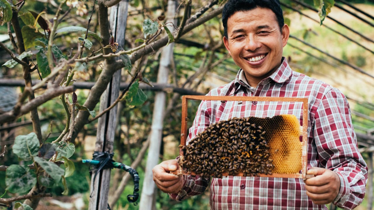 Happy beekeeper holds a honey frame filled with bees in a garden setting.