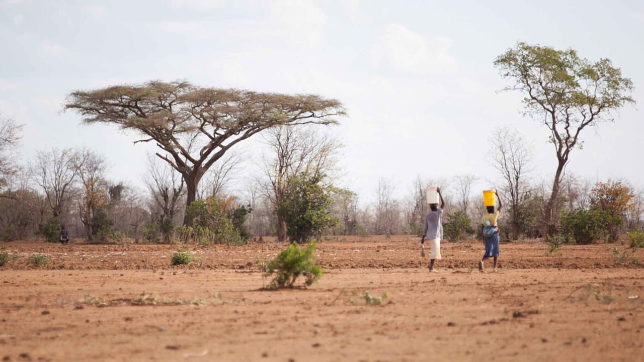 A wide landscape shot of an arid, reddish-brown field with sparse trees. Two people are walking away from the camera across the dry ground, each balancing a large bucket on their head. One person carries a white bucket, while the other carries a yellow bucket and has a small child strapped to their back.