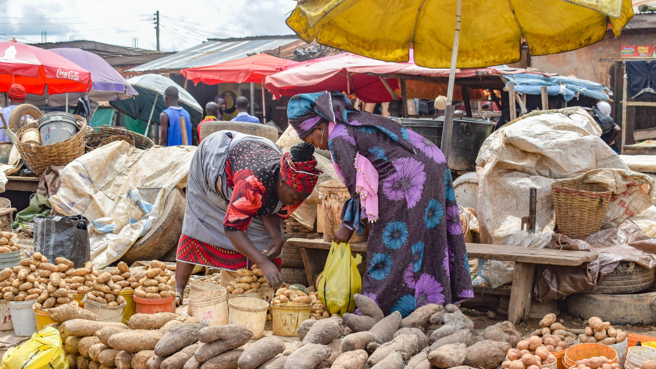 Two women stand at a local market in Jos, Nigeria, and pick potatoes 