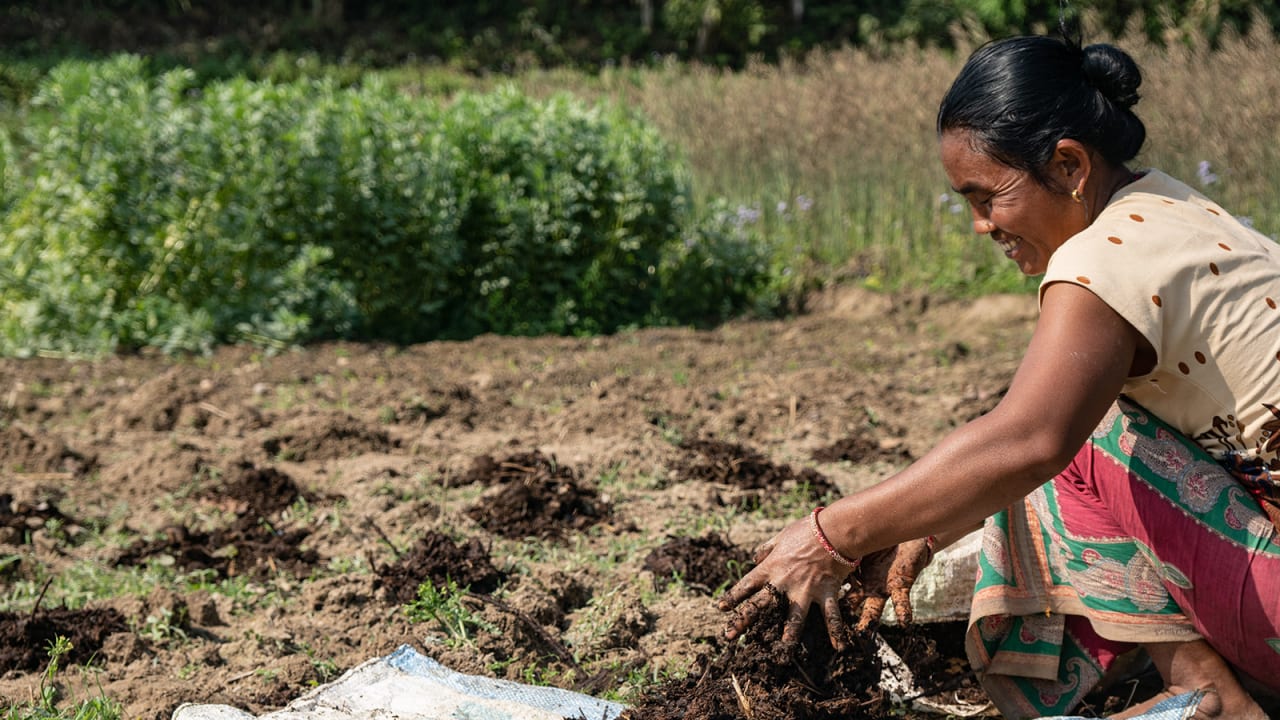 A lady crouches on the ground and gathers soil in her hands