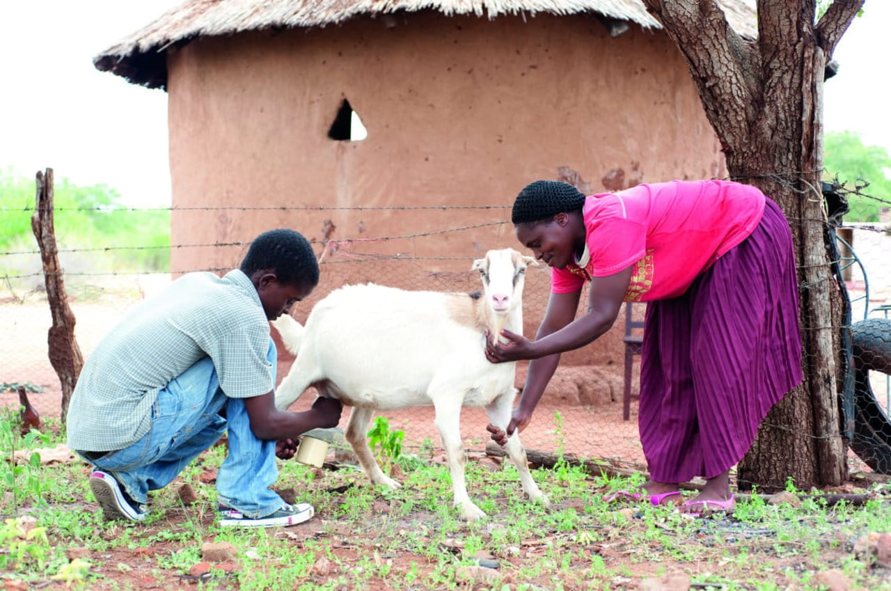 ZOE provides orphan families with livelihood opportunities, and church volunteers offer support. Photo: Eleanor Bentall/Tearfund