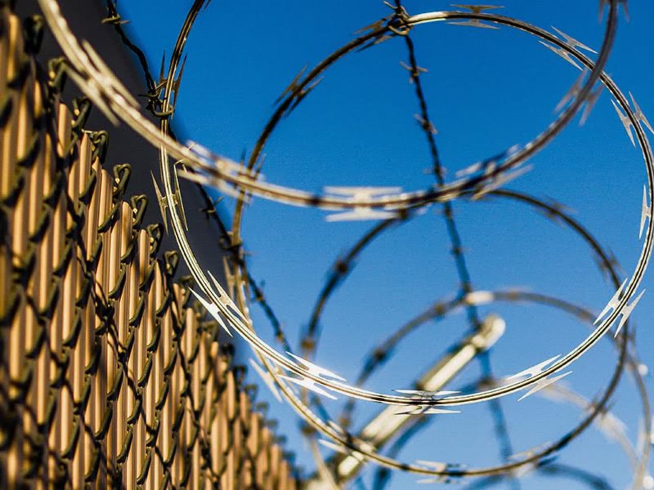 Image of barbed wire