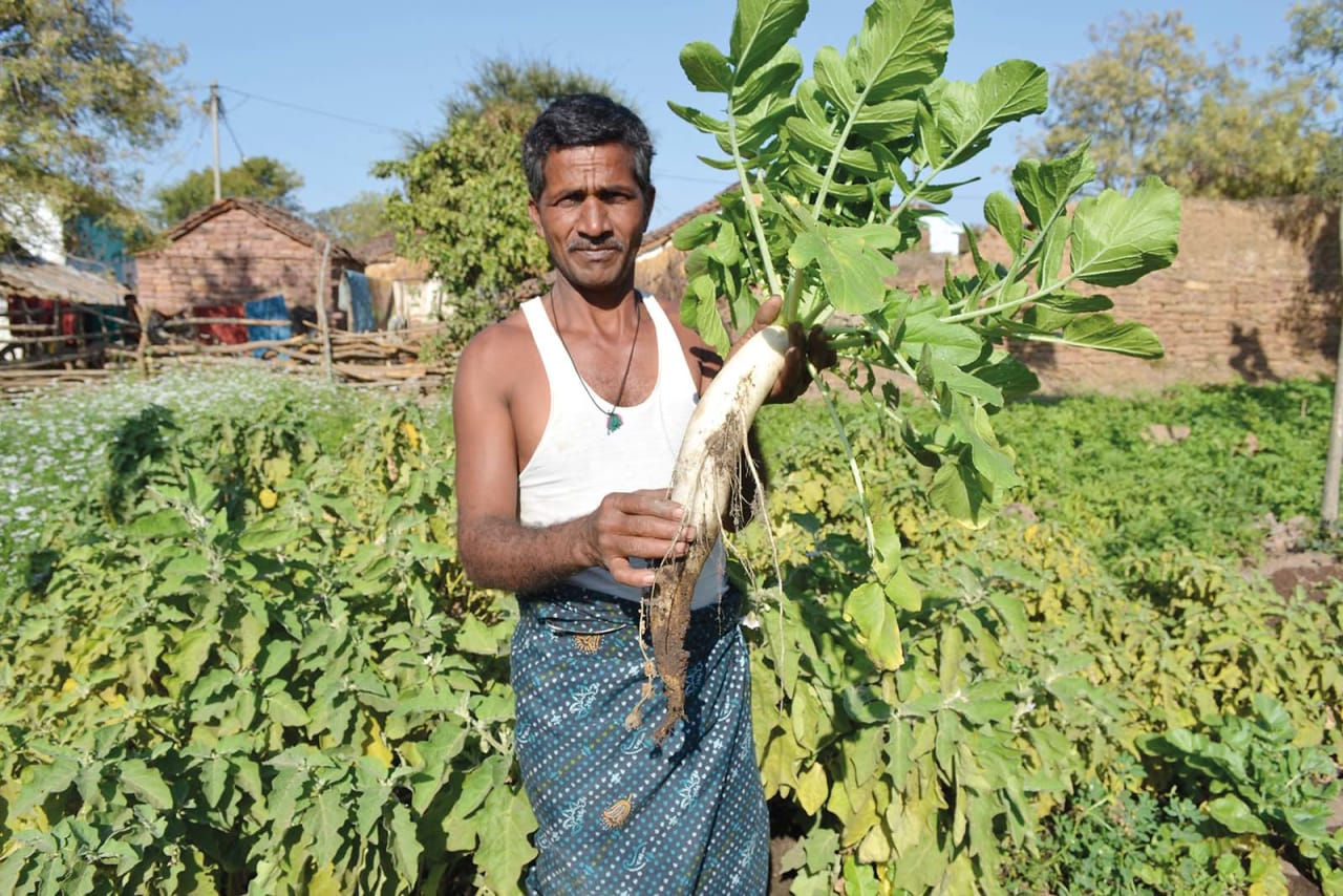 Un agricultor posa de pie en un campo de la aldea de Meghawakhurd, con una hortaliza en las manos