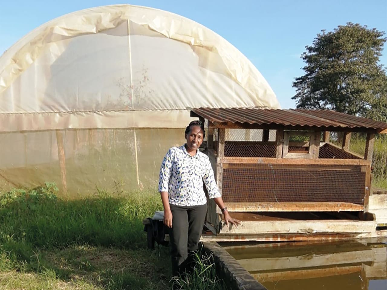 Une femme du nom de Rosemary Nyamu se tient devant une serre recouverte d’une bâche et à côté d’une mangeoire à cochons.