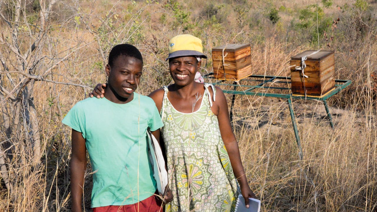 Uma senhora africana e seu filho de pé em frente de suas colmeias em uma floresta seca