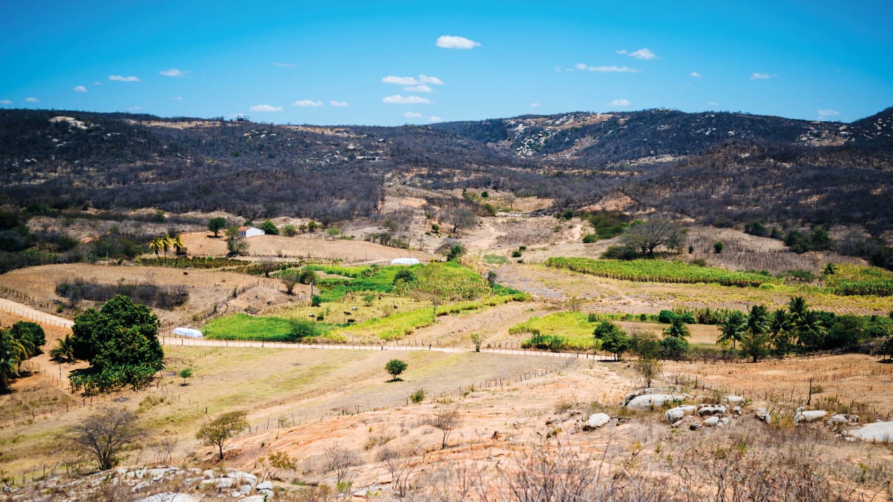 Vue panoramique d’un paysage sec et montagneux au Brésil