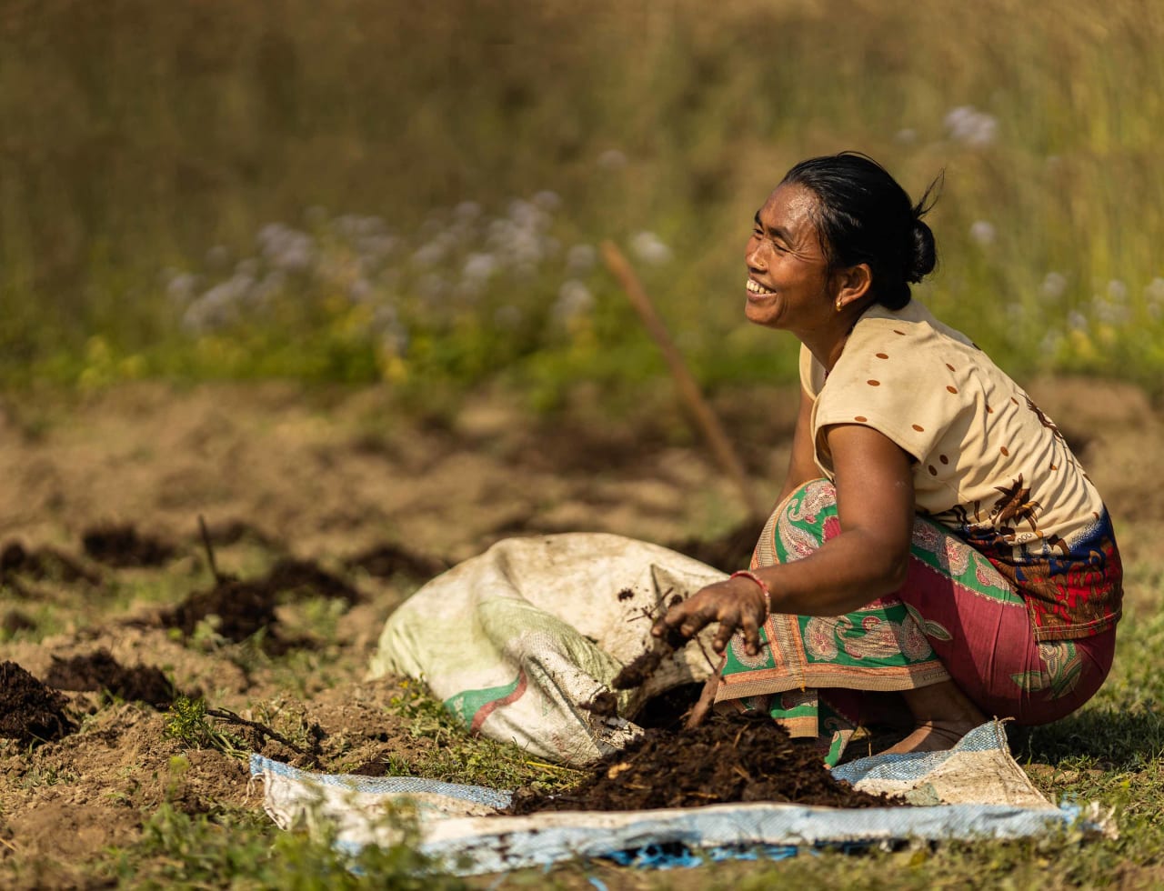 Uma mulher nepalesa sorridente agachada, tirando adubo de um saco e colocando em um campo.