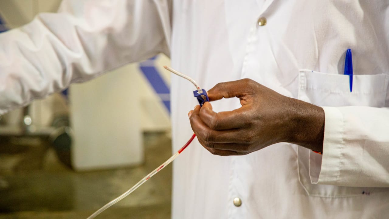 Um médico do sexo masculino usando um labcoat branco segura uma linha de sangue doado na mão direita.