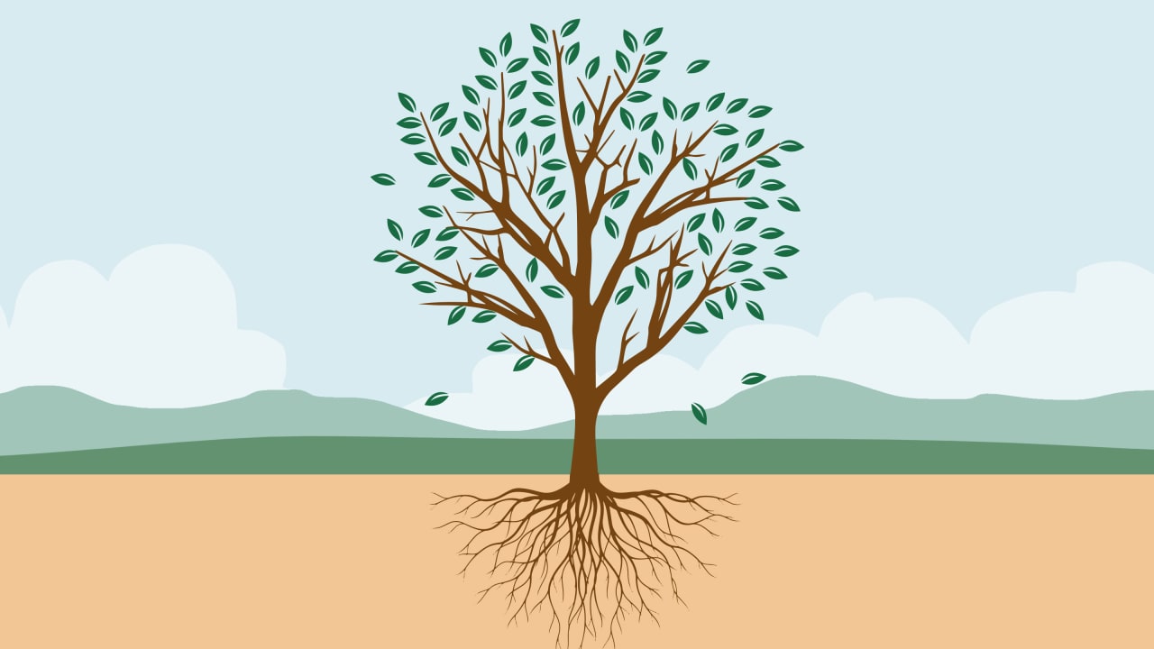 An illustration of a tree with leaves and deep roots 