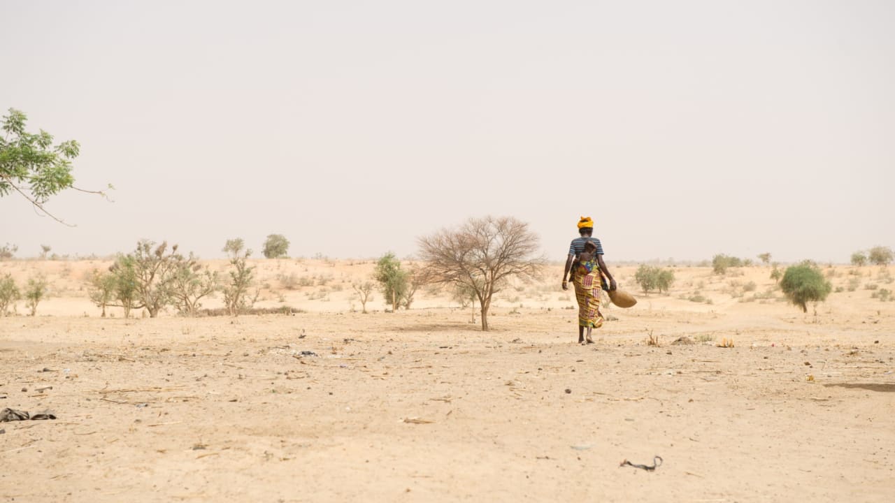 A woman collecting animal droppings to sell and use as fertiliser, Dosso Province, Niger. Photo: Richard Hanson/Tearfund