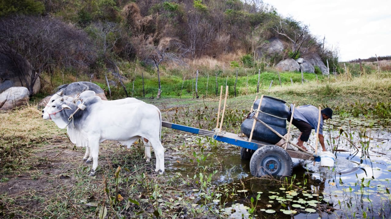 A resident of the Chapada community in north-east Brazil collects water for the the day. Rain is erratic and the effects of global warming are being noticed by agricultural families in the region. 