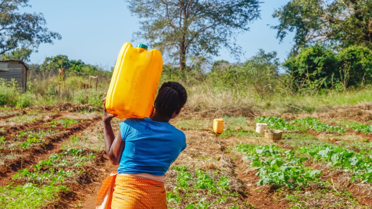 A young woman carries a jerrycan of water to be used for irrigating crops. She is part of an environmental conservation self-help group in her community.