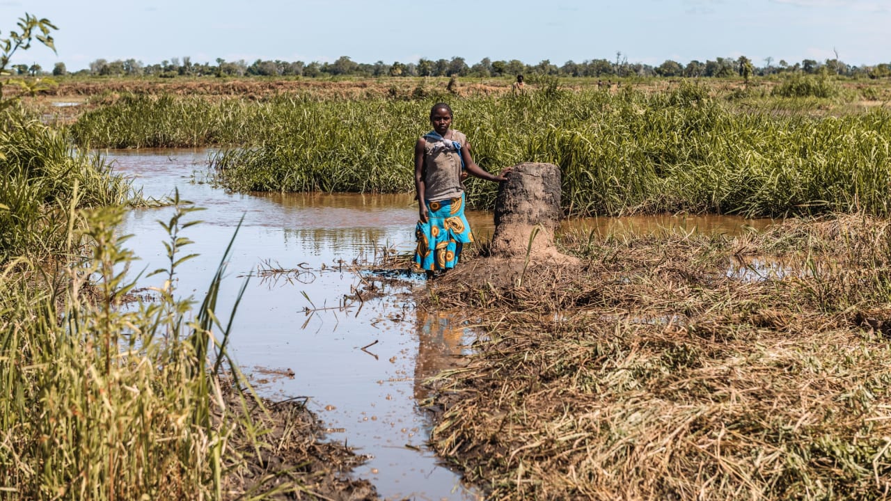 A woman walks with her daughter (strapped to her back) through flooded farm fields. Her village in Nkhotakata District, Malawi, has been badly affected by flooding and deforestation. 