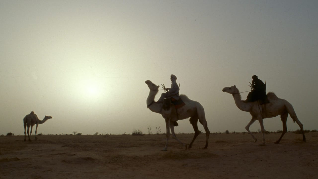 Des hommes Touaregs sur des chameaux en silhouette au Niger.