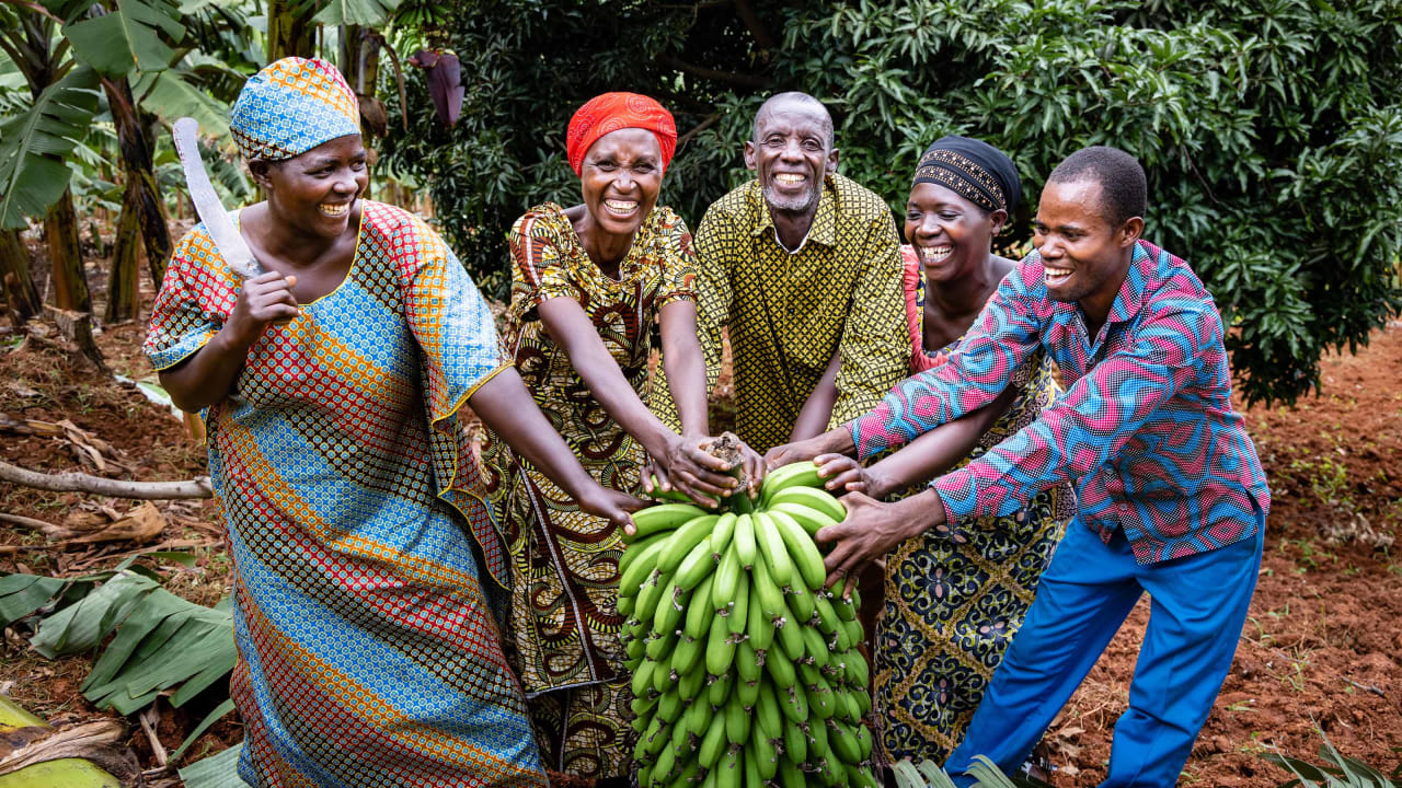 A group of smiling African community members standing in a semi-circle with their hands on a large banana stalk