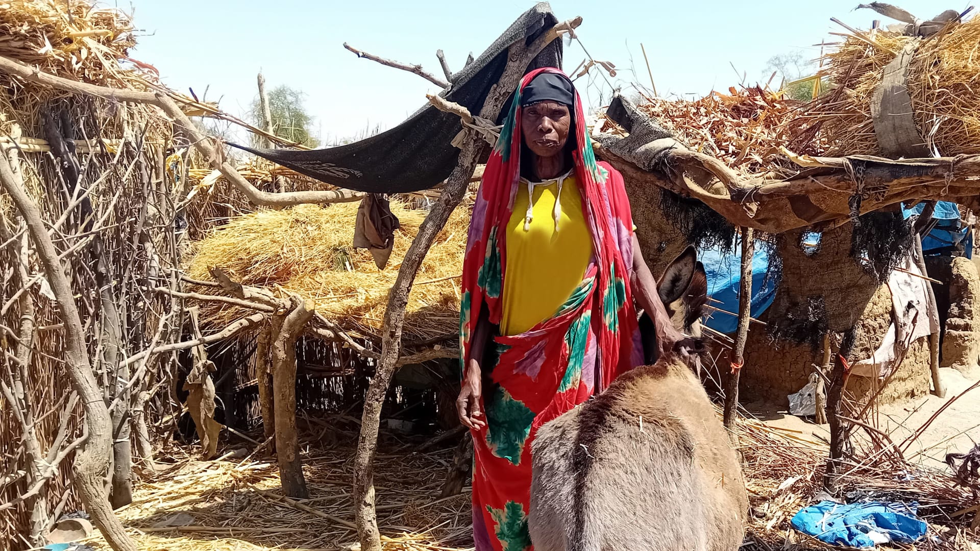 Elderly woman in colorful attire stands next to a donkey outside a straw hut.