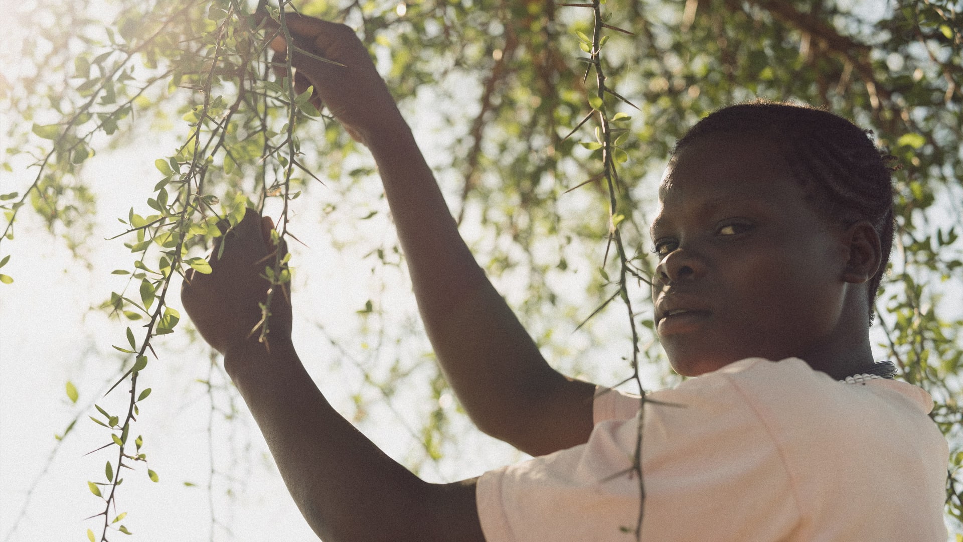 Woman standing below a tree looks at the camera while handling branches against sunlit background.
