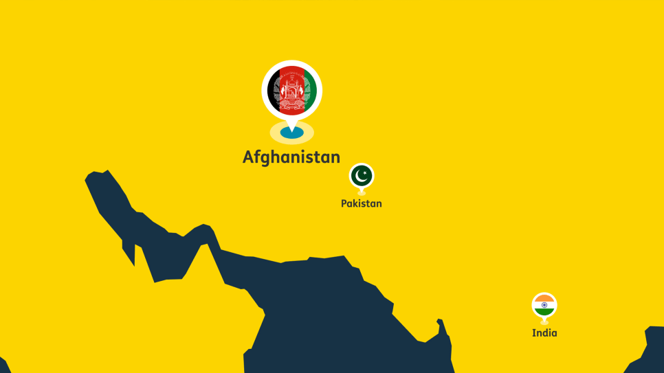 Map graphic of Afghanistan, Pakistan, and India with flag pins on a yellow background.