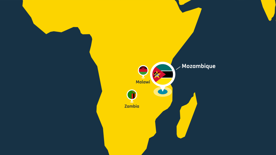 Illustrated map of Africa with country flags as location markers on Mozambique and surrounding countries.