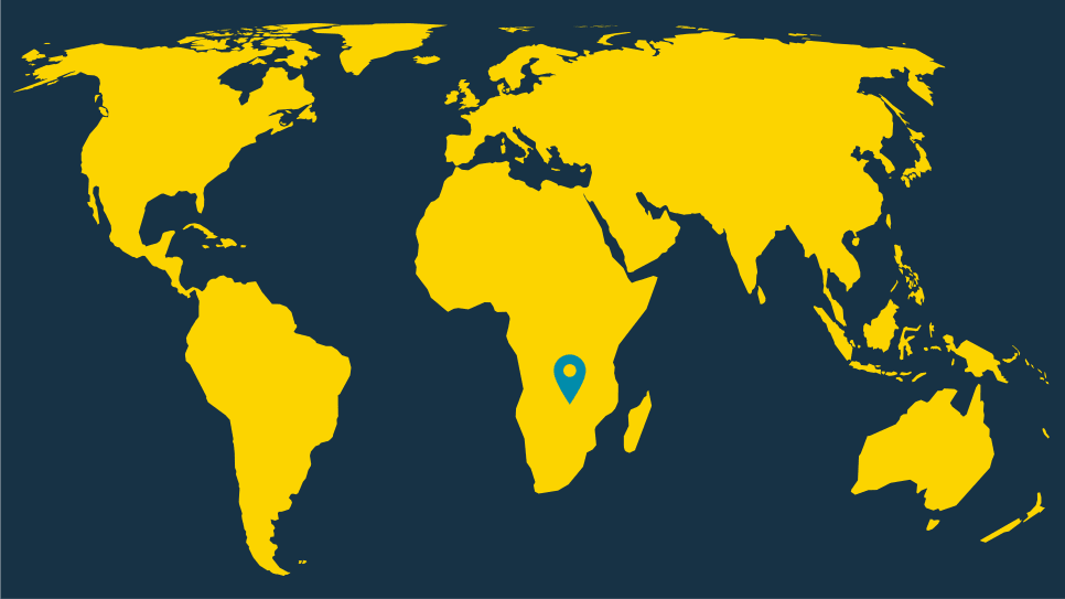 A graphic image of a world map with a tag for Zambia's location