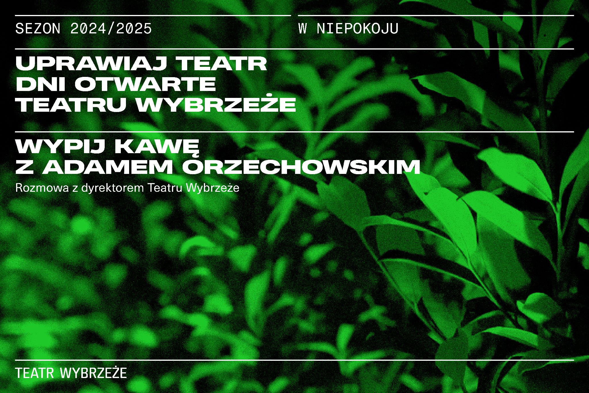 Plakat do spektaklu WYPIJ KAWĘ Z ADAMEM ORZECHOWSKIM, Dyrektorem Teatru Wybrzeże
