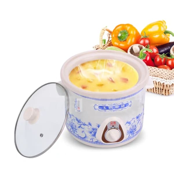 Ceramic Electric Saucepan