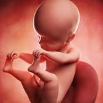 Fth0vfna62q0keo6p8fd