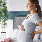 Ymvp2yjxl1zwoa6khpml