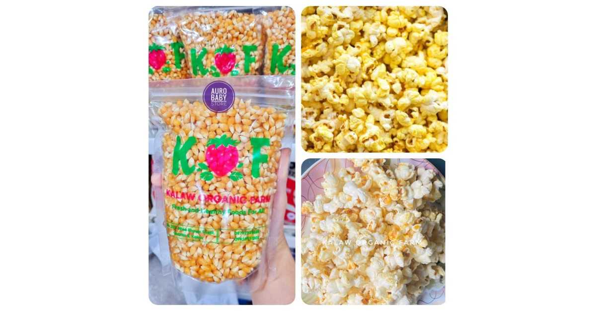 Popcorn Seeds 500g   Fjv0bjh2rvuzl4fchu2a 