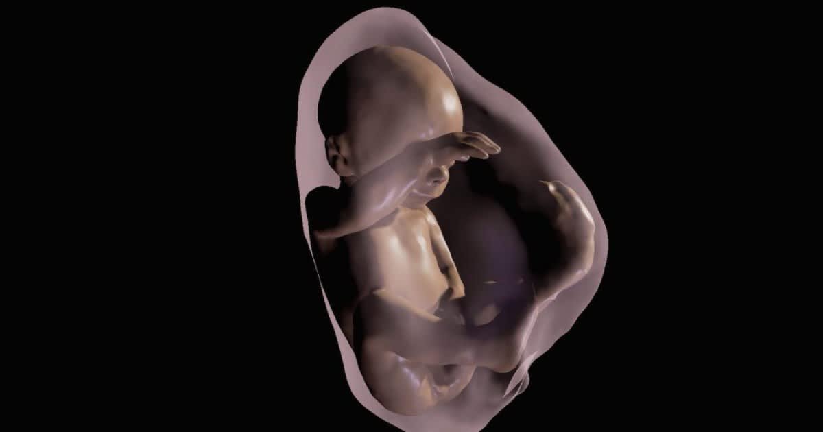 Ua82pia6jthqjsuxuf1d