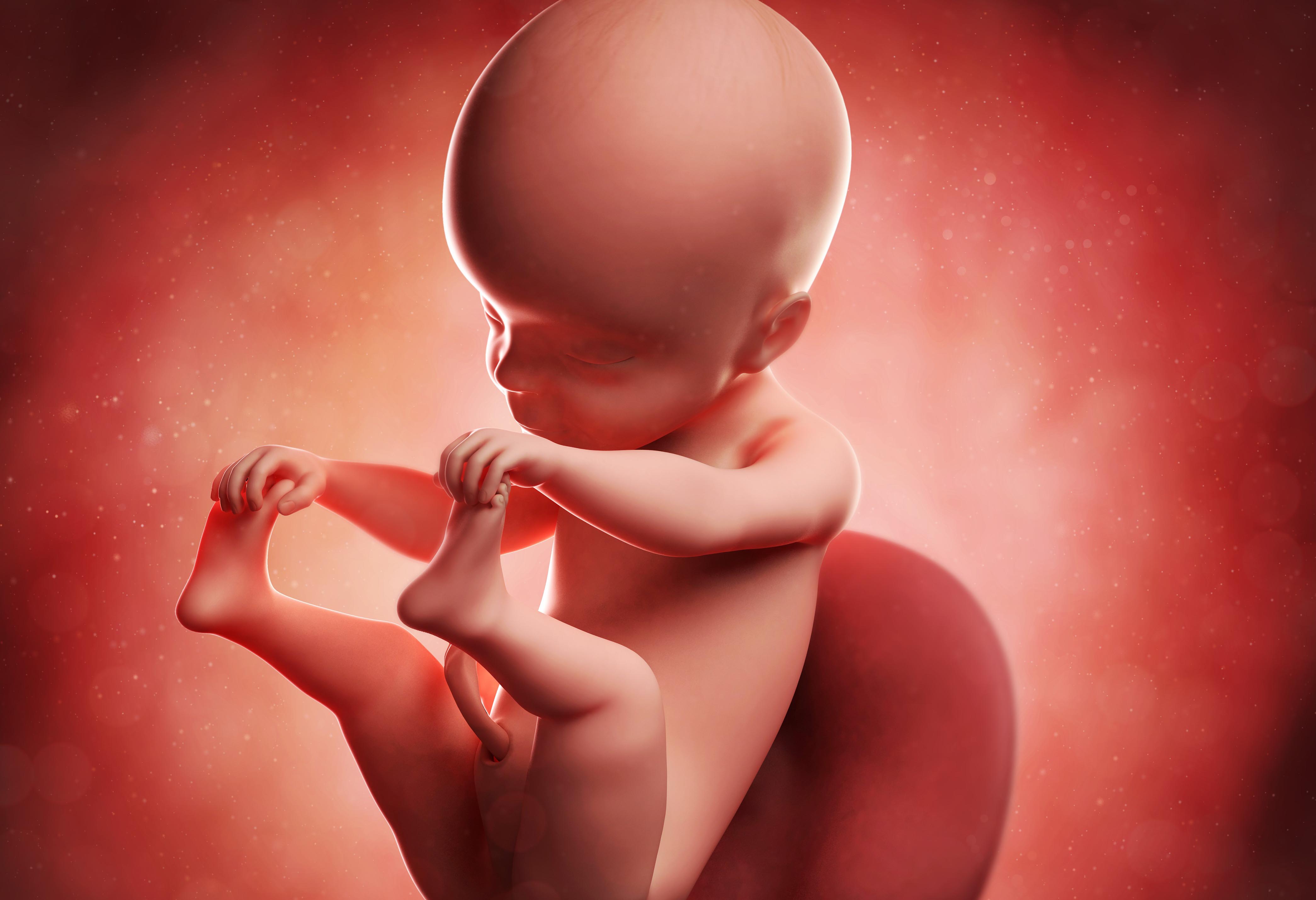 Fth0vfna62q0keo6p8fd