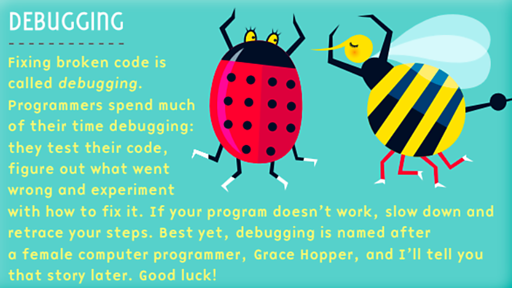 Debugging description and drawings of two bugs