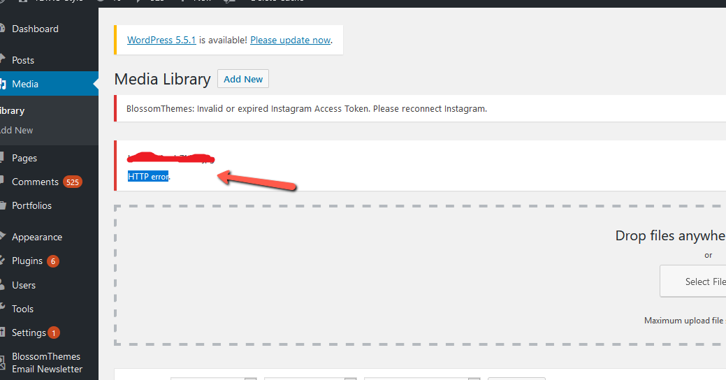 WordPress HTTP Error