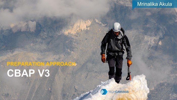CBAP v3 preparation approach