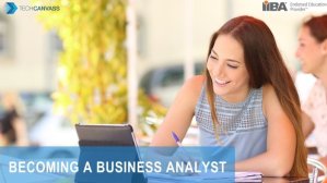 Becoming a business Analyst