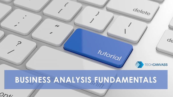 Business Analysis fundamentals tutorial TN