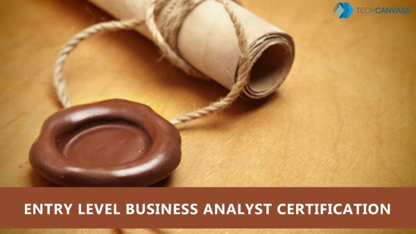 Entry Level Business Analyst Certification ECBA
