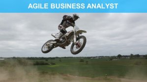 Agile Business Analyst