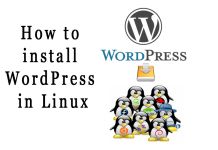 How to install WordPress in Linux Mint How to install WordPress in Linux Mint