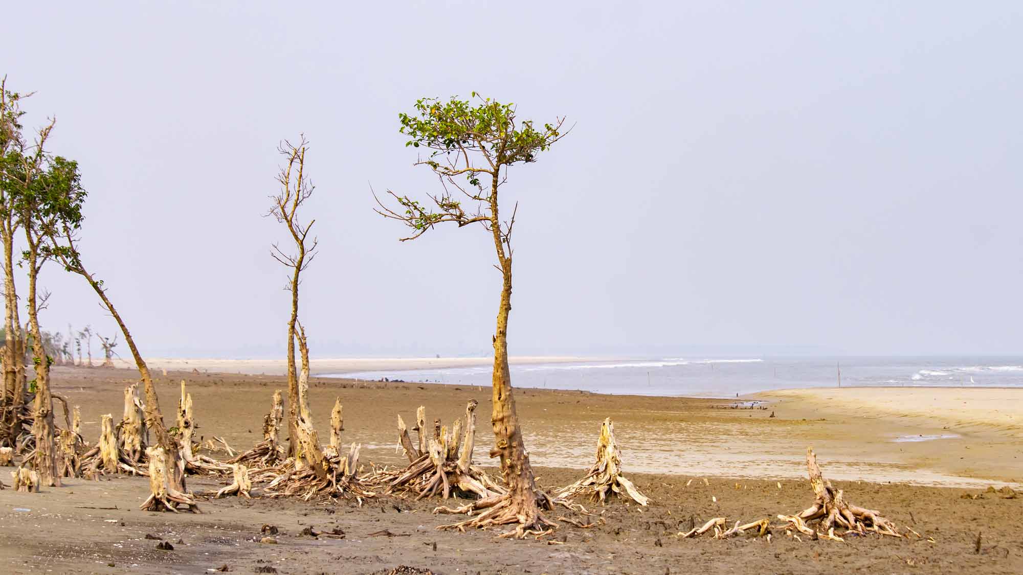 Global warming is pushing the planet to the brink, says UN Secretary-General