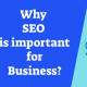 Why SEO is important for business
