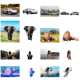How to Develop Image Background Removal Using Python and the rembg Library