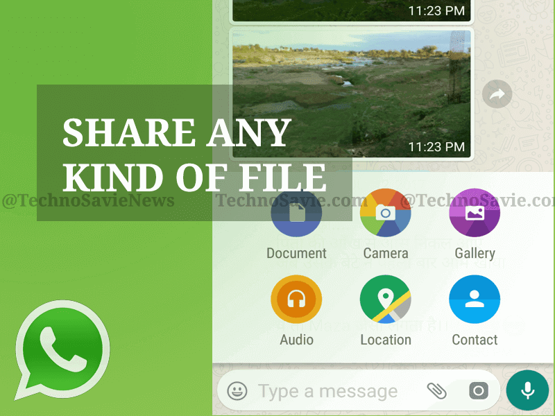 WhatsApp Update: Share any kind of Files and Documents