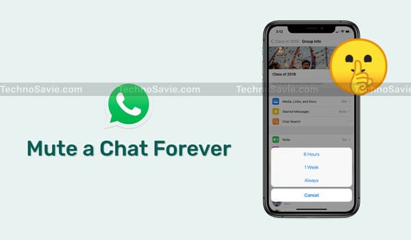 Mute a Chat Forever on WhatsApp